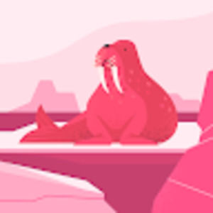 Meet your Posher, Gabriela